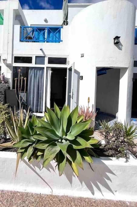 17 Puerto Del Carmen Blueshark Appartement Buitenkant foto